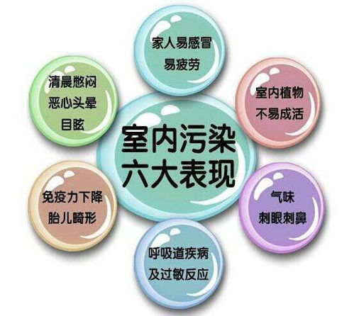 南城小区甲醛治理怎么收费