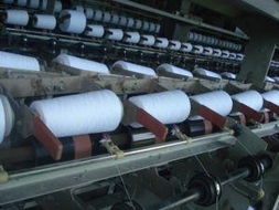 苍南县望里镇海岛清洁用品厂 专业清洁服务，守护环境之美